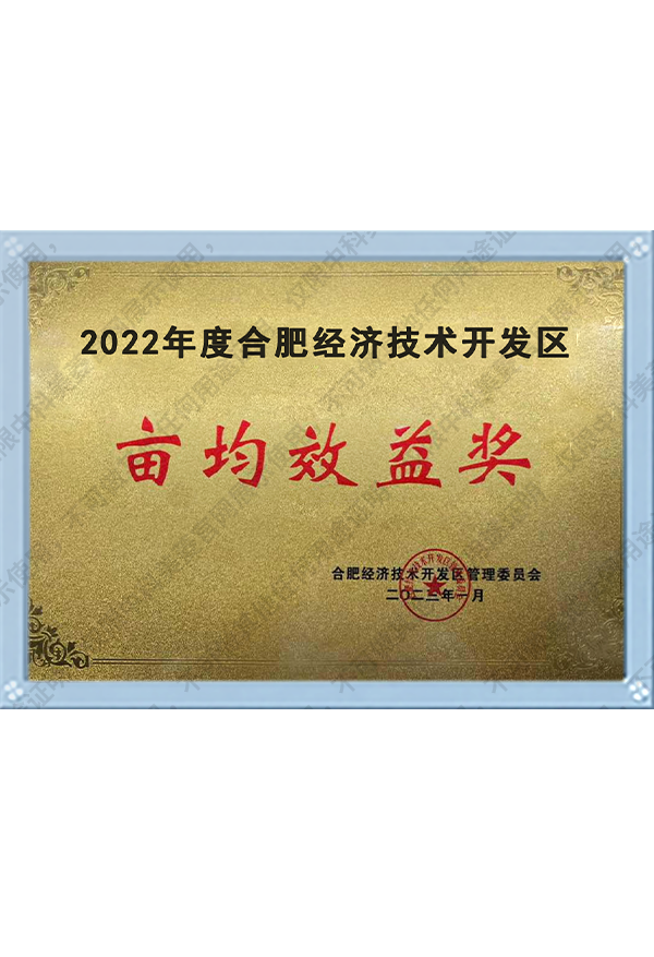 2022年度合肥经济技术开发区亩均效益奖